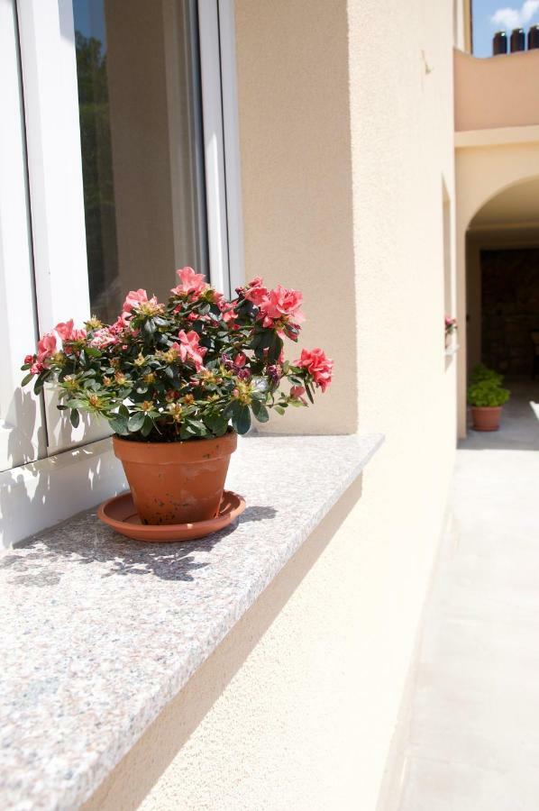 Apartment Viveniti Клейновиця Екстер'єр фото