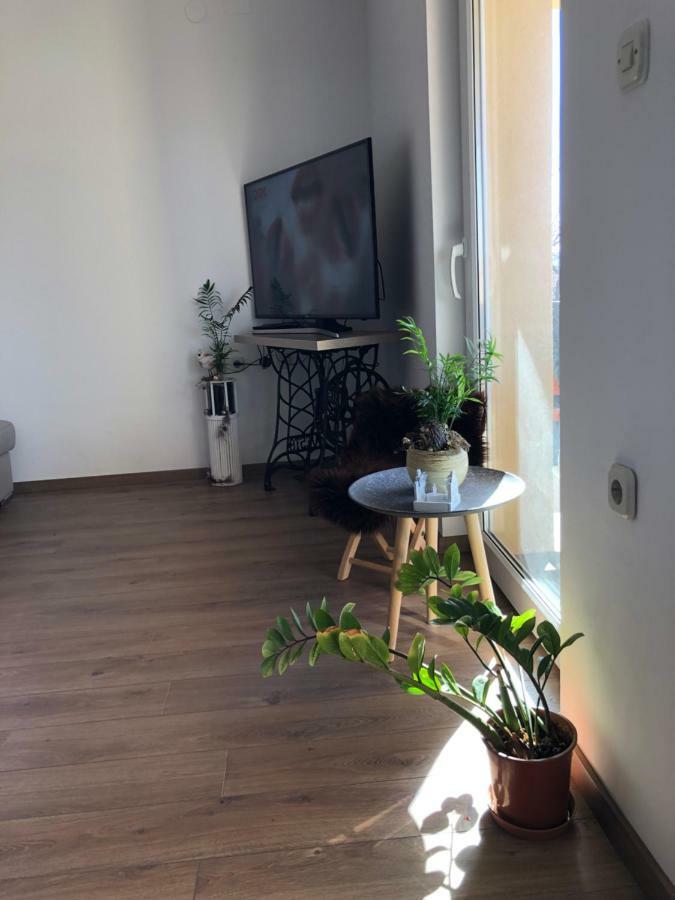 Apartment Viveniti Клейновиця Екстер'єр фото